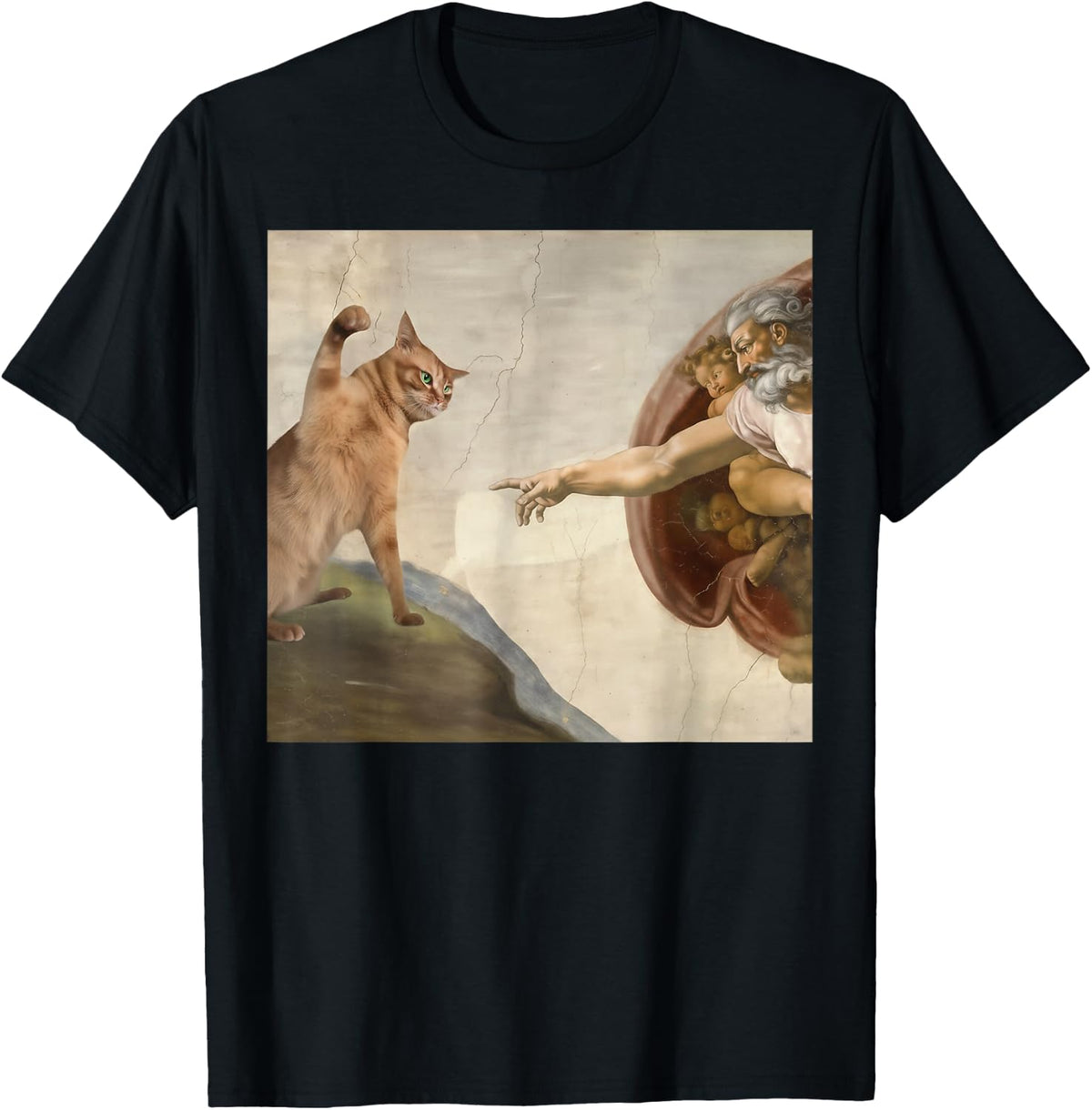 Hilarious Sarcastic Brainrot Funny Meme Cat T-Shirt