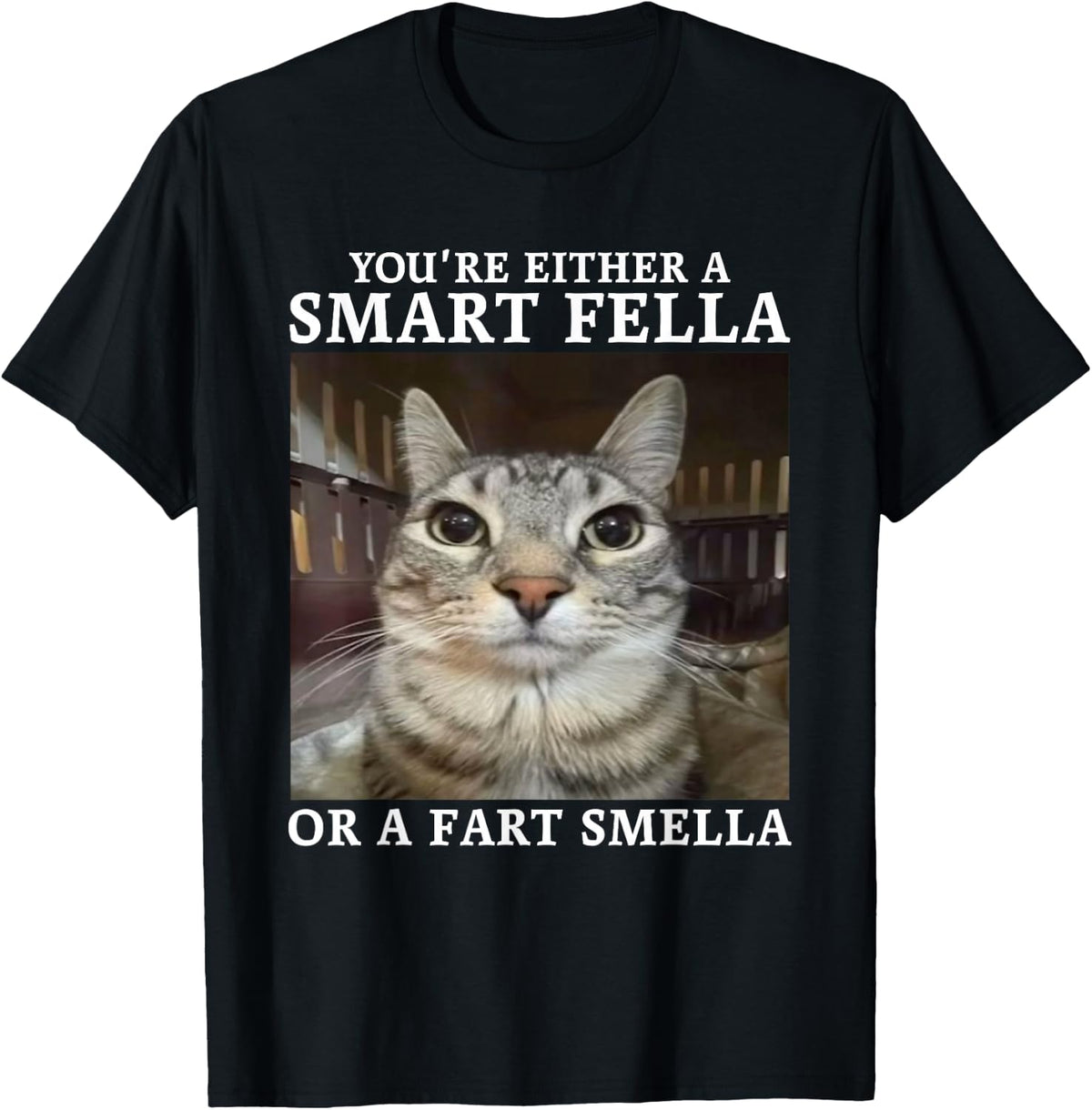 You're Either A Smart Fella Or A Fart Smella Funny Cat Meme T-Shirt