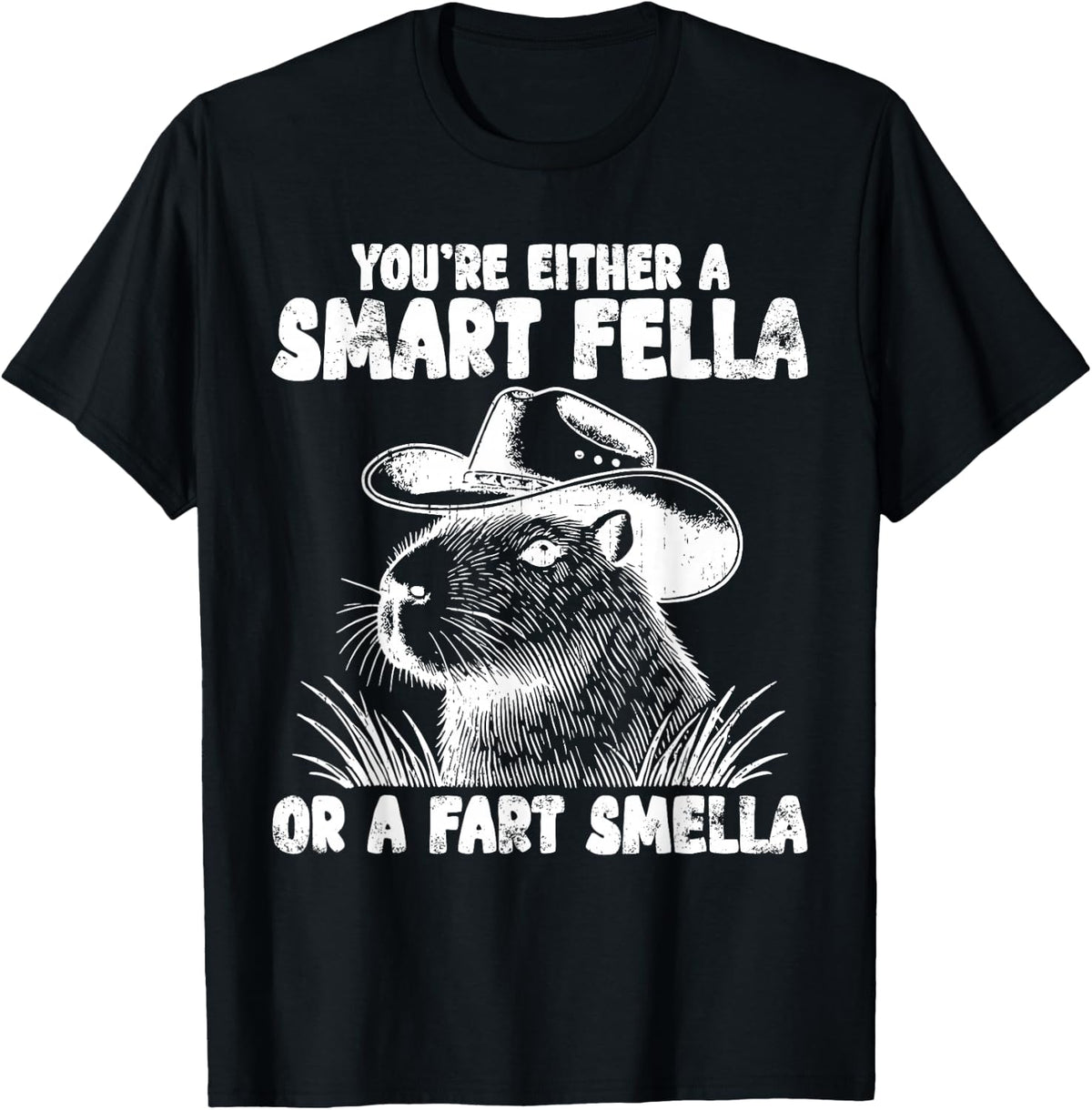 You're Either A Smart Fella Or A Fart Smella Funny Sarcastic T-Shirt