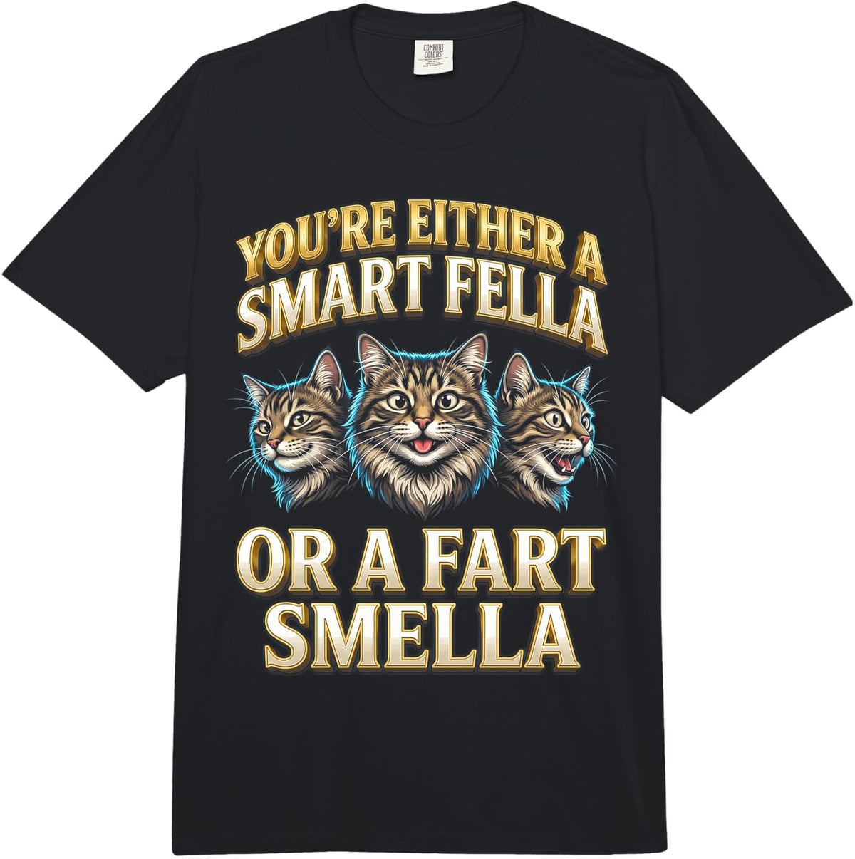 You're Either A Smart Fella Or A Fart Smella Funny Cat Meme Comfort Colors Adult Heavyweight T-Shirt